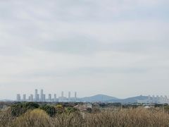-贡湖湾湿地公园
