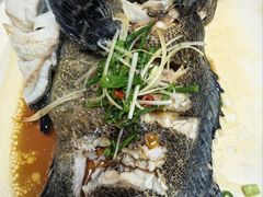 石斑鱼-老郑海鲜楼(天桥店)