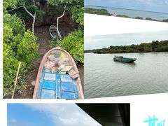 -东寨港红树林旅游区