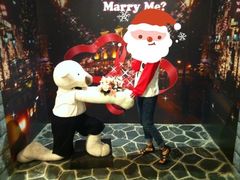 -济州岛泰迪熊博物馆