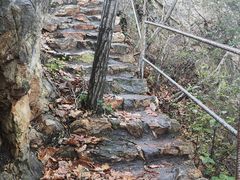 -大连天门山国家森林公园