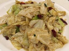 火爆大头菜-南波万