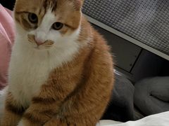 -佳雯宠物医院·皮肤科·内外科(春晓路分院)