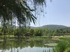 -习家池
