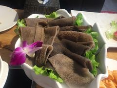 -珍巴奴毛肚牛肉小火锅(四惠店)