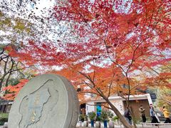-星巴克(西湖天地店)