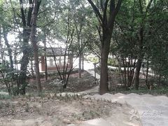 -西安市长乐公园