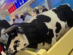 -红星前进面包牛奶公司(君太店)