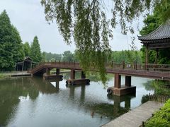 -溱湖国家湿地公园