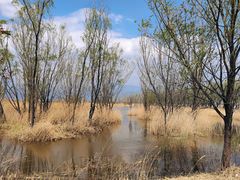 -野鸭湖国家湿地公园