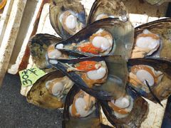 -珠光市场(文德南路)