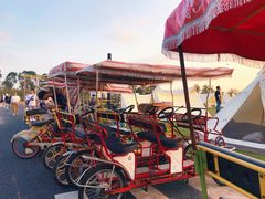 -春花秋色城市公园