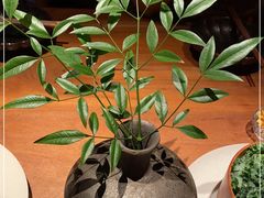 -天水蔬食料理(树德之光店)
