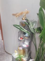 -卡尔诗·科技美肤连锁
