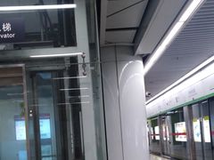 -狮子山(地铁站)