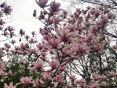 -长广溪湿地公园