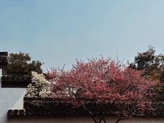 -何园