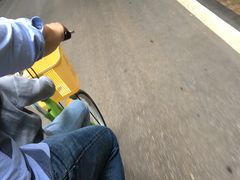 -黄海国家森林公园