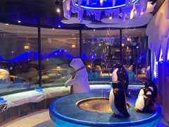 -北方暖暖温泉洗浴(沈阳北站店)
