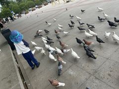 -陕西科学技术馆