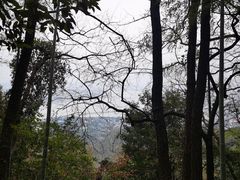 -西湖风景区十里琅珰-五云山