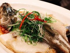 清蒸海鲈鱼-中山保利艾美酒店-乐美中餐厅