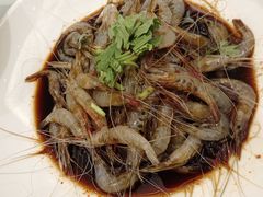 炝青虾-苏启渔港(云南北路店)