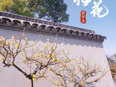 -无锡梅园公园