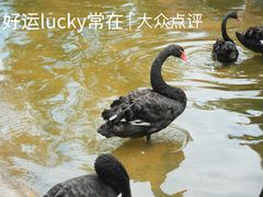 -长廊欢乐园