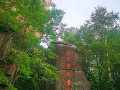 -汤旺河林海奇石景区