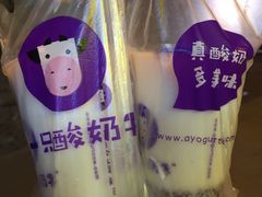 -一只酸奶牛(奎星楼店)
