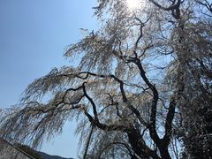 -醍醐寺