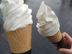 -蜜雪冰城(大智路店)