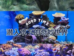 -南昌海洋公园