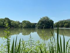 -金桥现代产业园区-停车场