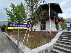 -大唐贡茶院