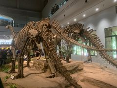 -自贡恐龙博物馆