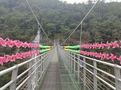 -九龙江国家森林公园