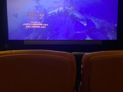 -首都电影院(金融街店 杜比全景声)