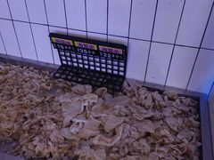 -一亩鲜生(凤屿店)