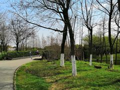 -九里河湿地公园