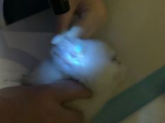 -宠颐生维康宠物医院(金丰店)