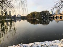 -沙市市中山公园