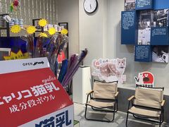 -伟伟宠物医院·CT影像中心·瑞派犬猫综合性门诊(汉口总院)