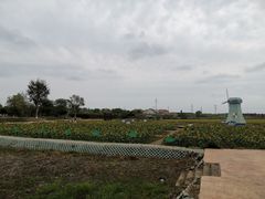 -武汉紫薇都市田园