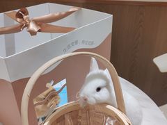 -大象厨房(重庆道店)