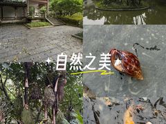 -柳侯公园