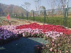 -攀枝花公园