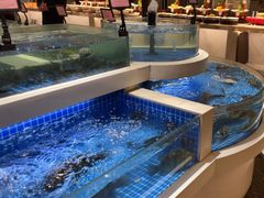 -渔人码头(中南店)