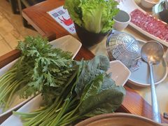 -手选潮汕鲜活牛肉火锅(二七广场店)